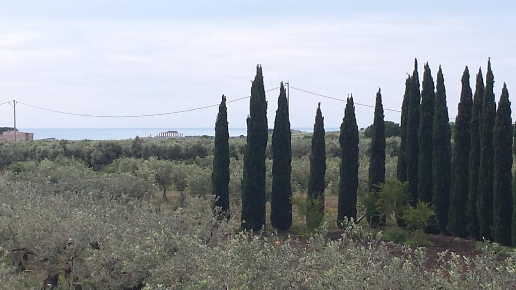 Agrisicilia Marinella di Selinunte